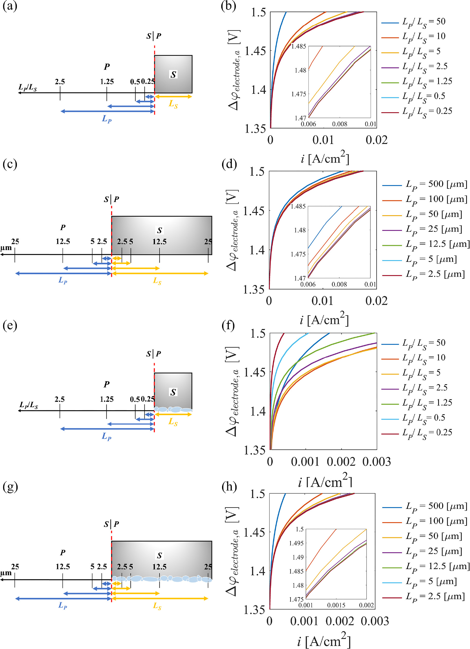 Influence of the Complex Interface between Transport and Catalyst Layer ...