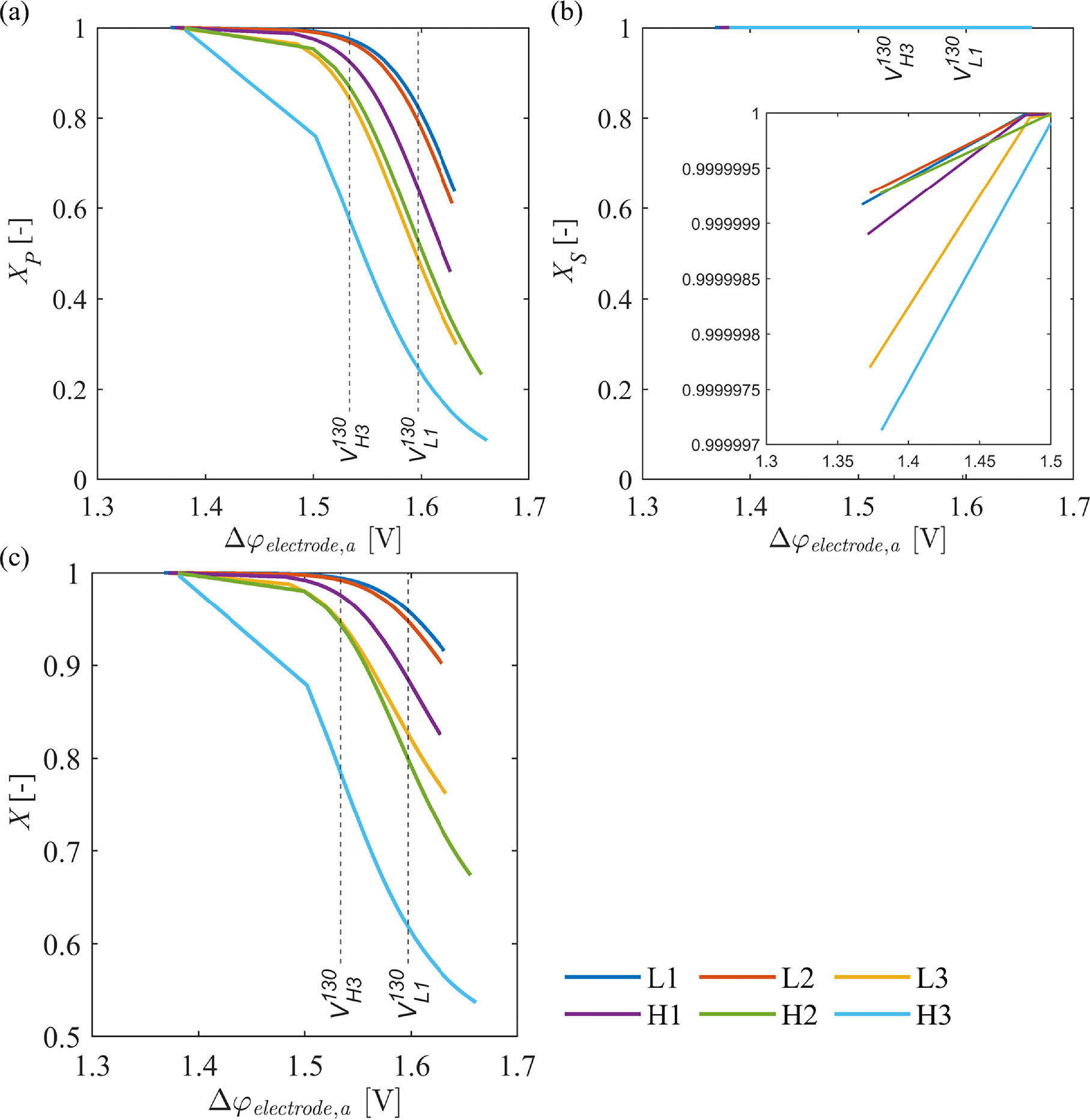 Influence of the Complex Interface between Transport and Catalyst Layer ...