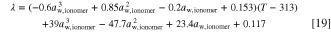 Equation (19)