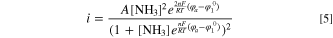 Equation (5)