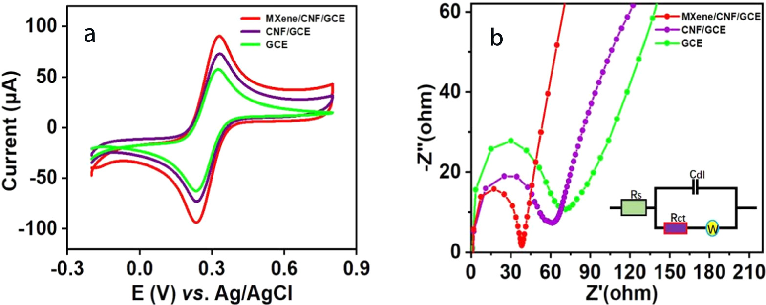 A Novel Electrochemical Sensor for Chloramphenicol Based on MXenes and ...