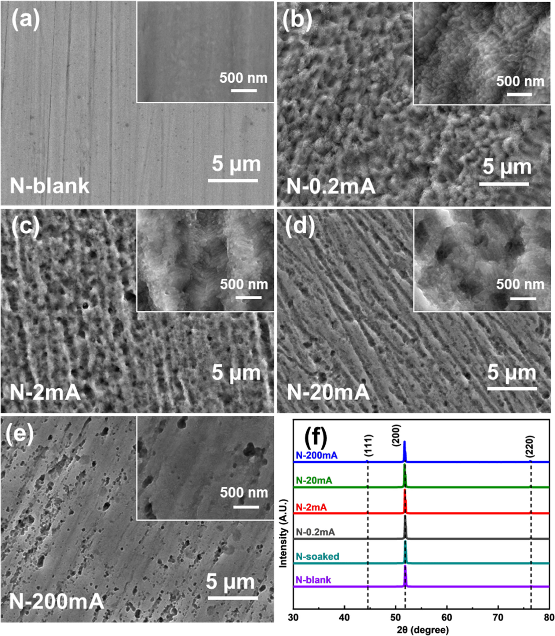 Surface Evolution of Ni Electrode Under Cathodic Polarization in Acidic ...