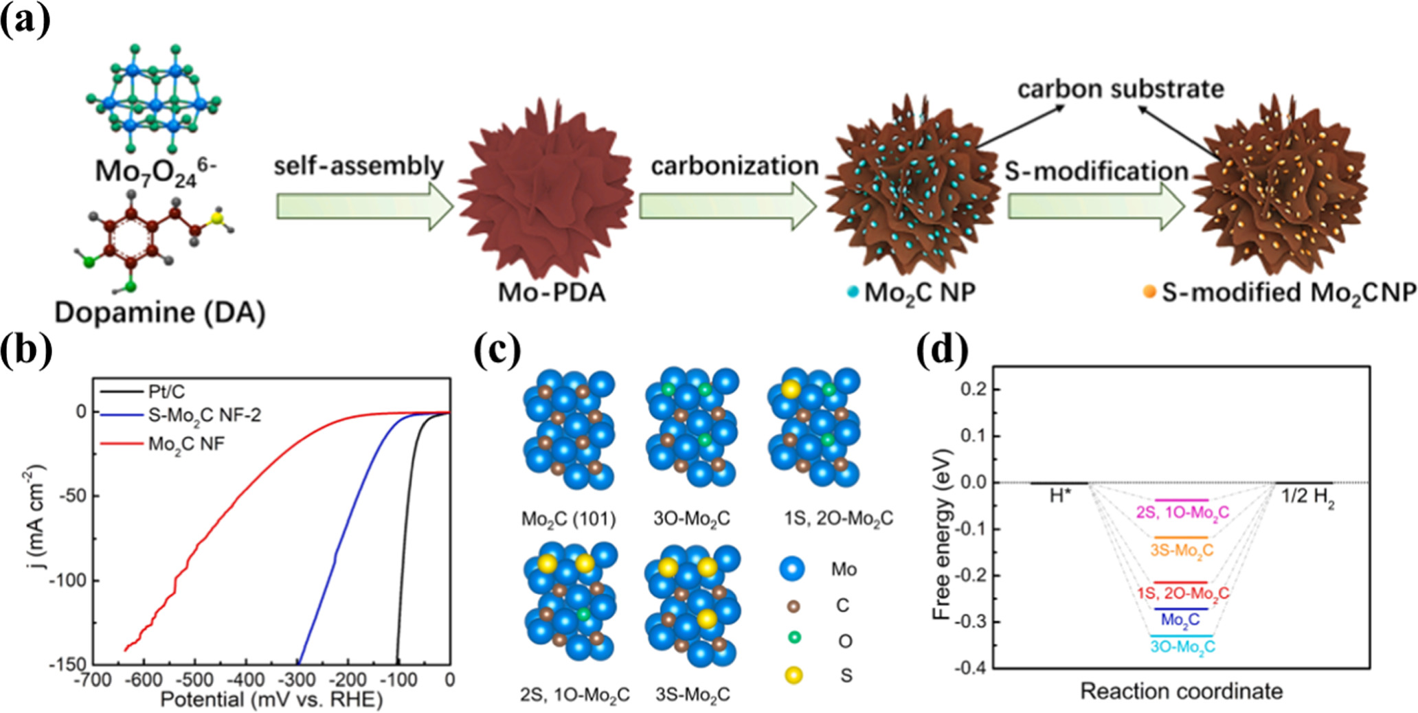 Review—Recent Advancements in Molybdenum Carbides for Efficient ...