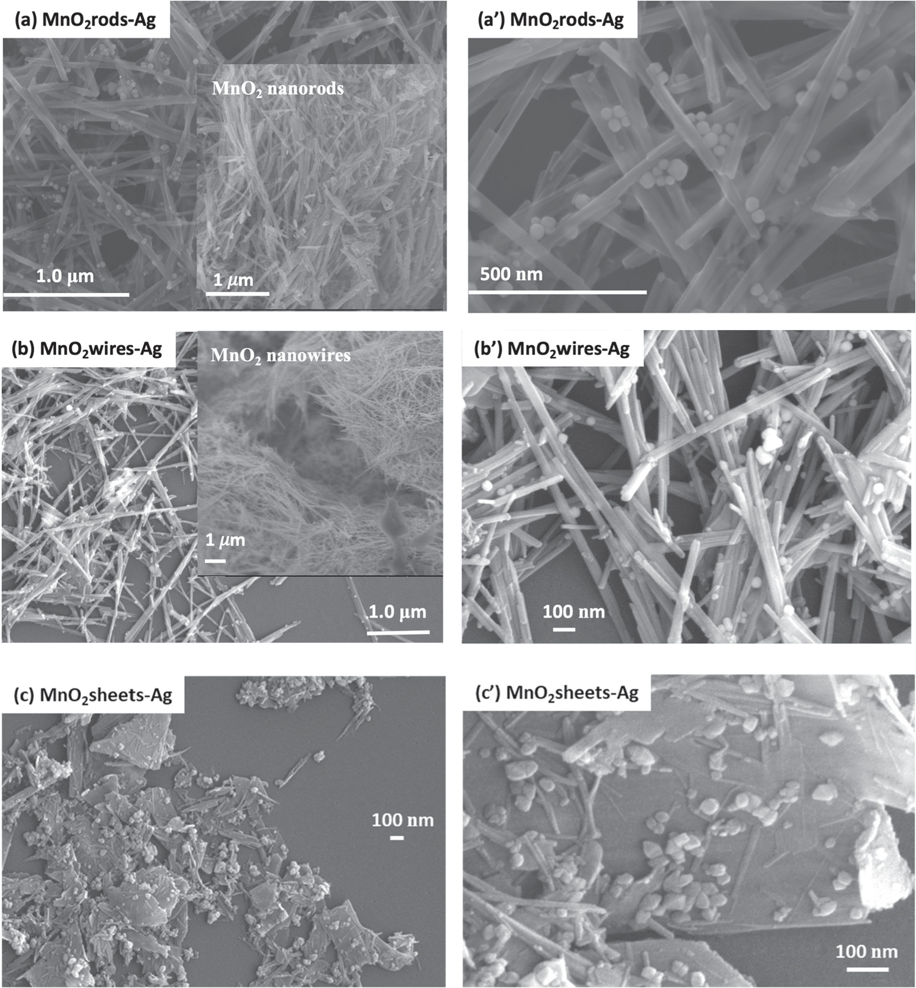 An Optimized MnO2-Ag Nanocomposite-Based Sensing Platform for ...