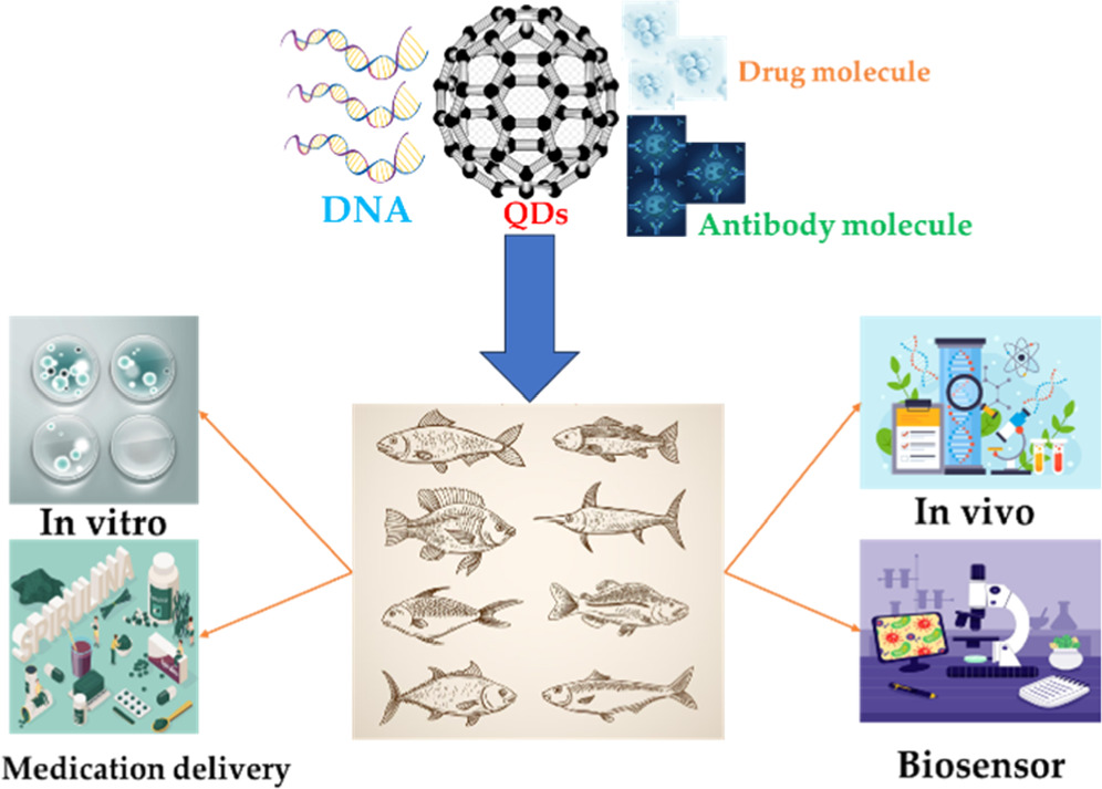Review—Nanotechnology in Aquaculture: Applications and Challenges ...