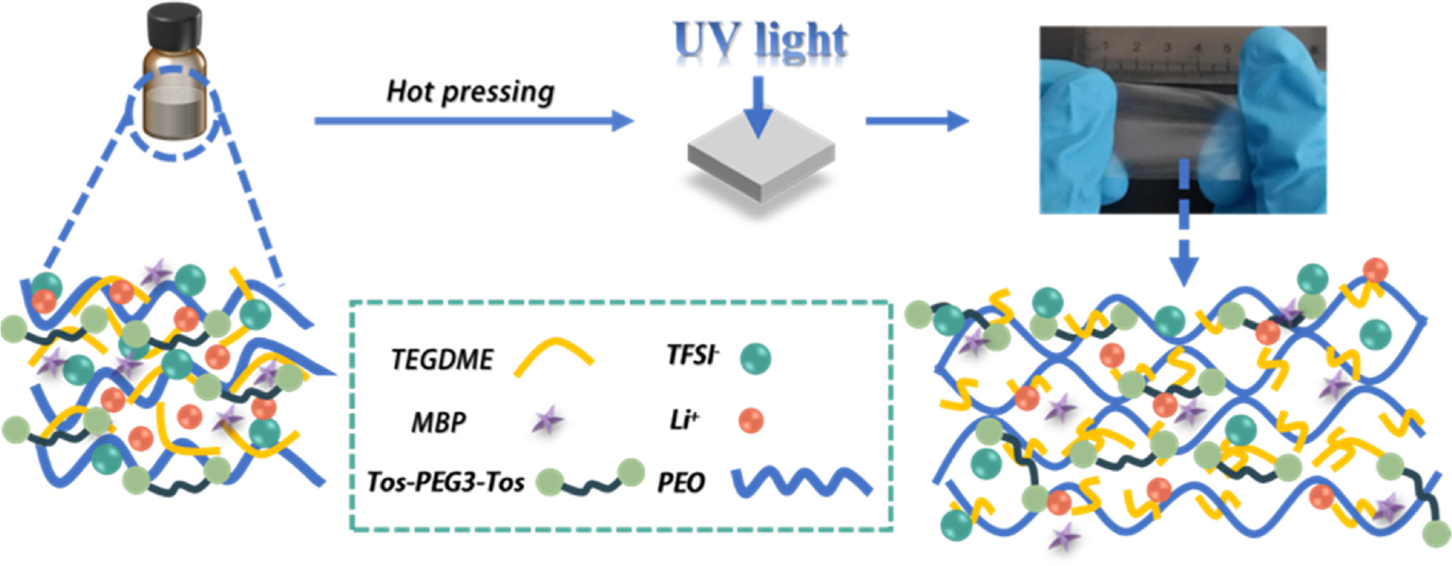Novel PEO-based Solid Polymer Electrolyte with High Elasticity and High ...