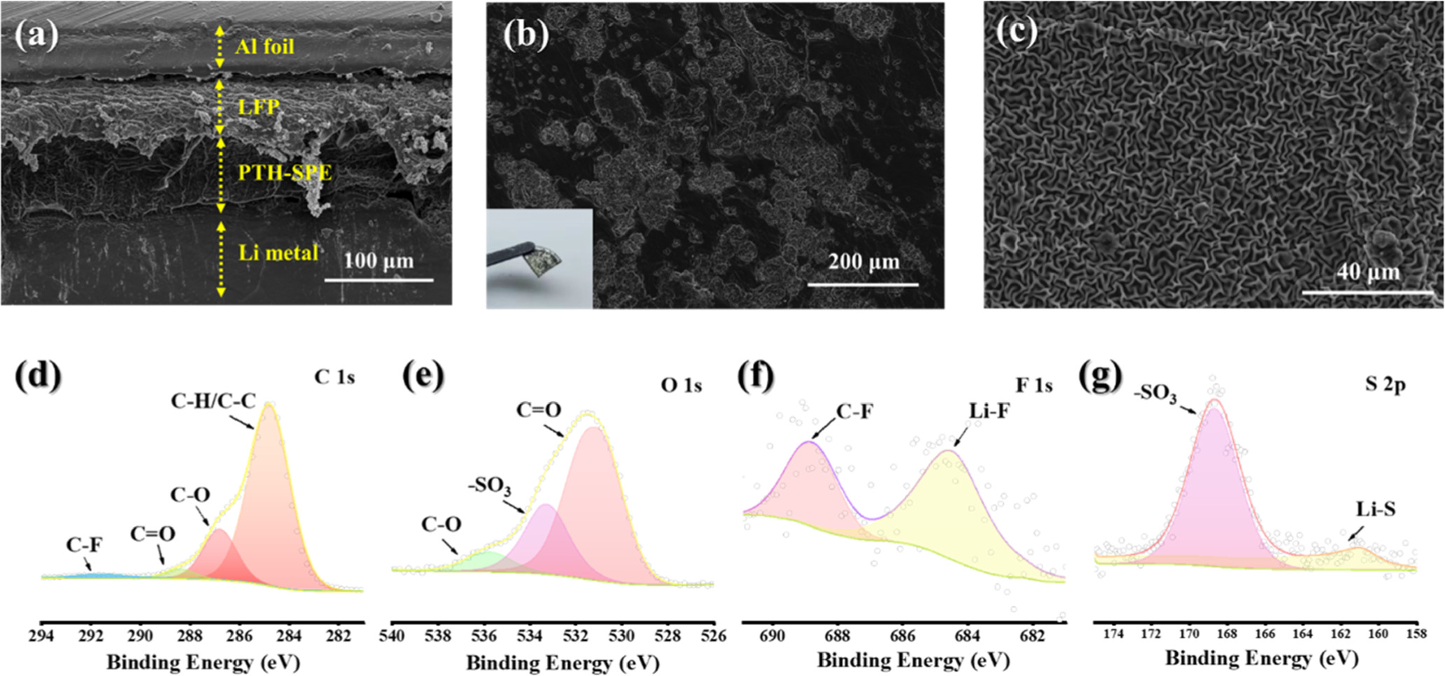 Novel PEO-based Solid Polymer Electrolyte with High Elasticity and High ...