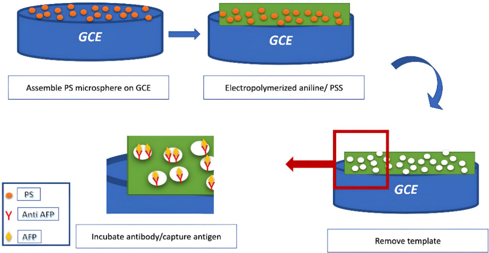 Review—Electrochemical Biosensors for Alpha-Fetoprotein Detection ...