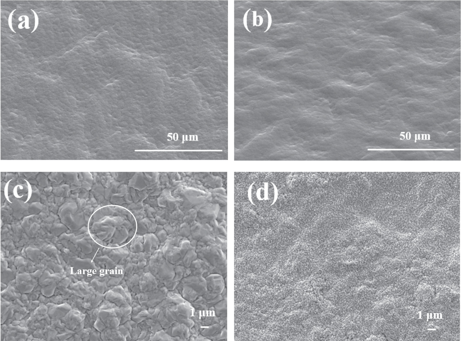 Effect of Different Surface States of Electrolytic Copper Foils on the ...
