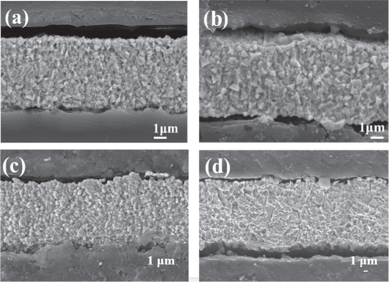 Effect of Different Surface States of Electrolytic Copper Foils on the ...