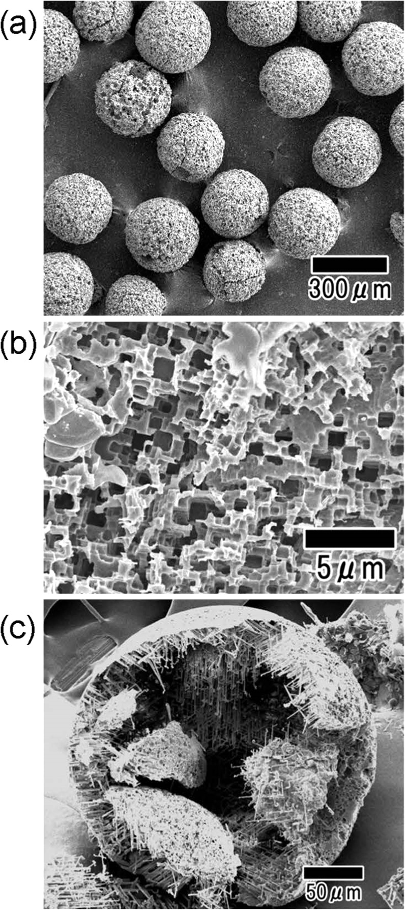 Fabrication of Porous Metal Particles with Controlled Surface ...