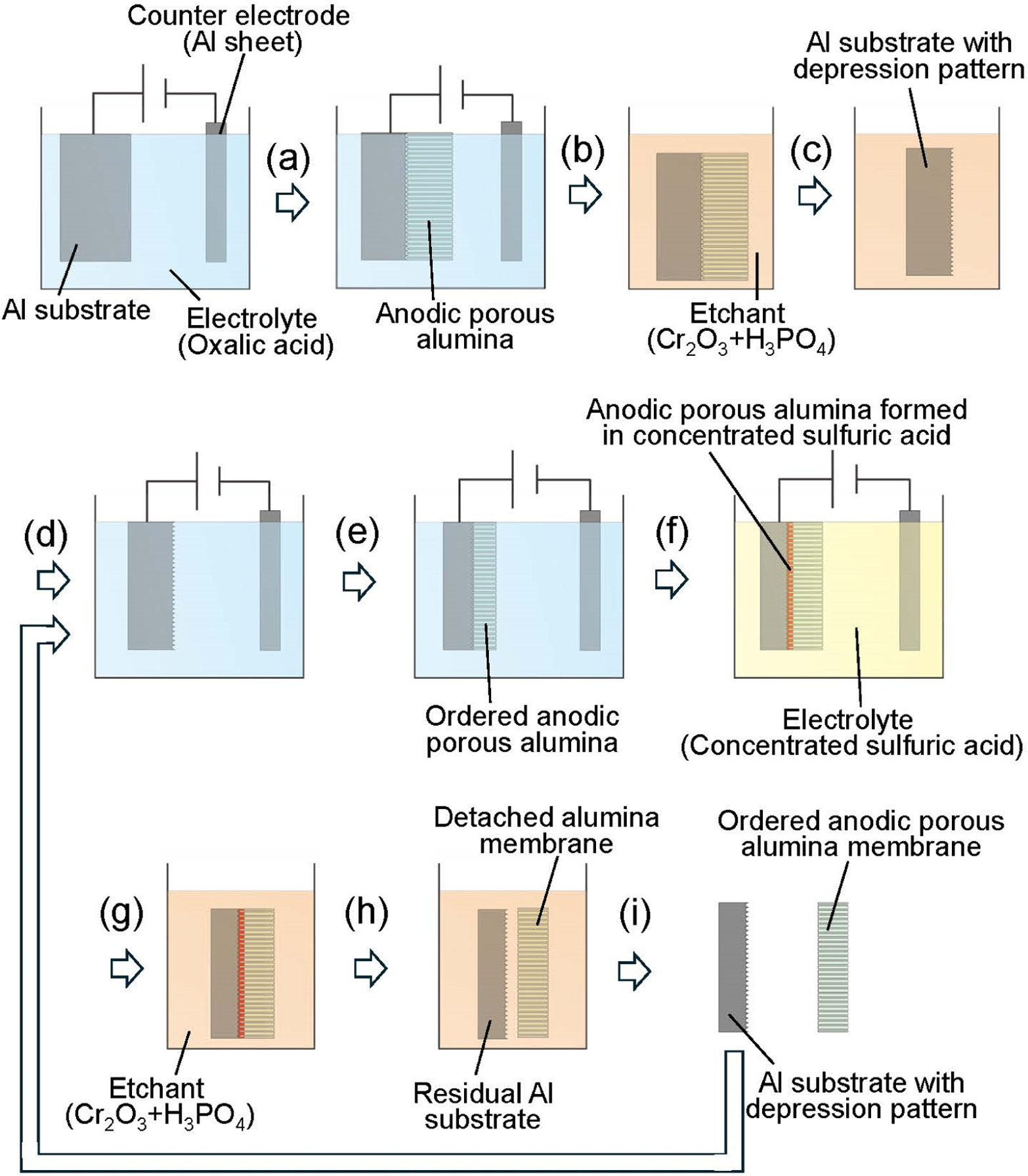 Short-Time Peeling of Large Anodic Porous Alumina Membranes from Al ...