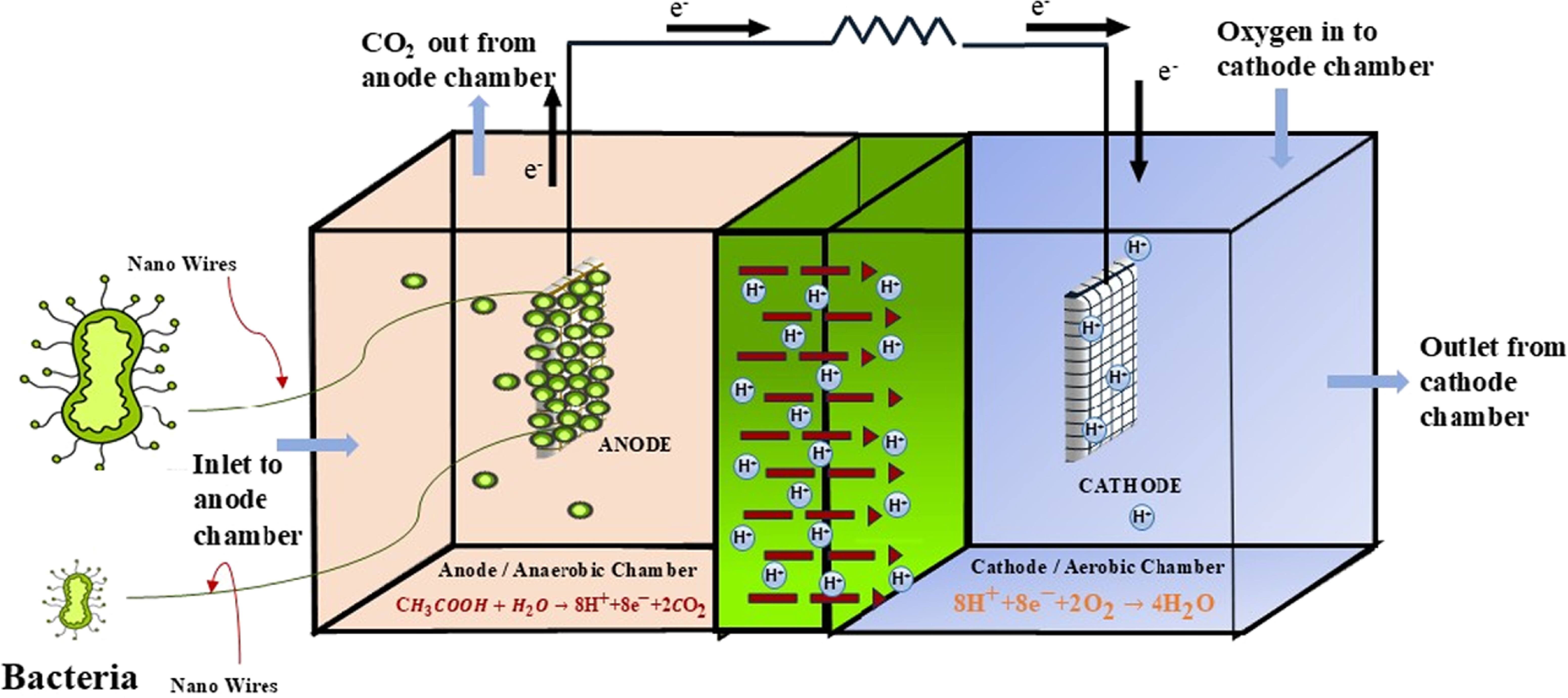 Bioelectrochemical Systems at the Crossroads of Healthcare, Biosensing ...