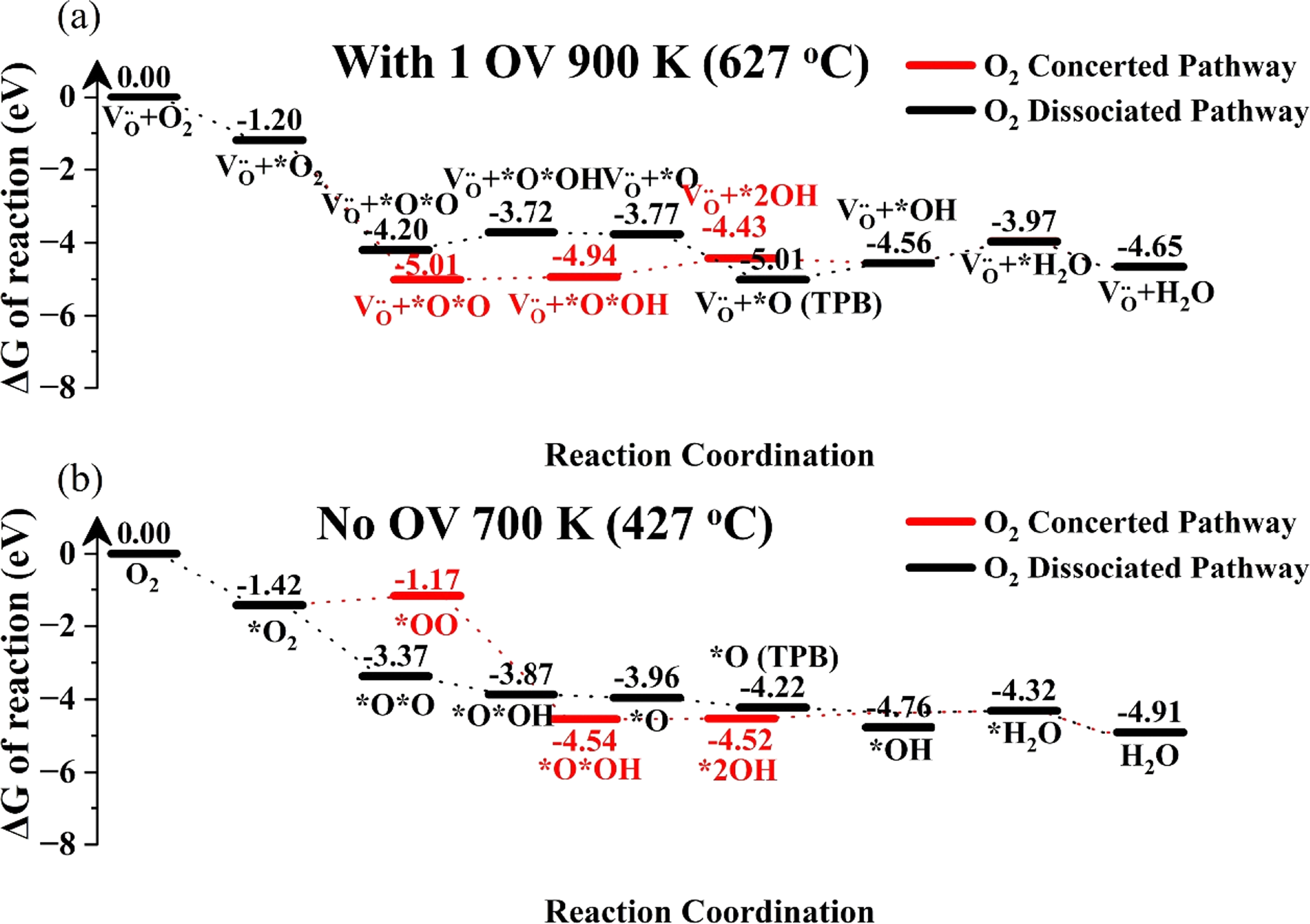 Mechanistic Insights into Oxygen Reduction Reaction on Metal Cathode ...