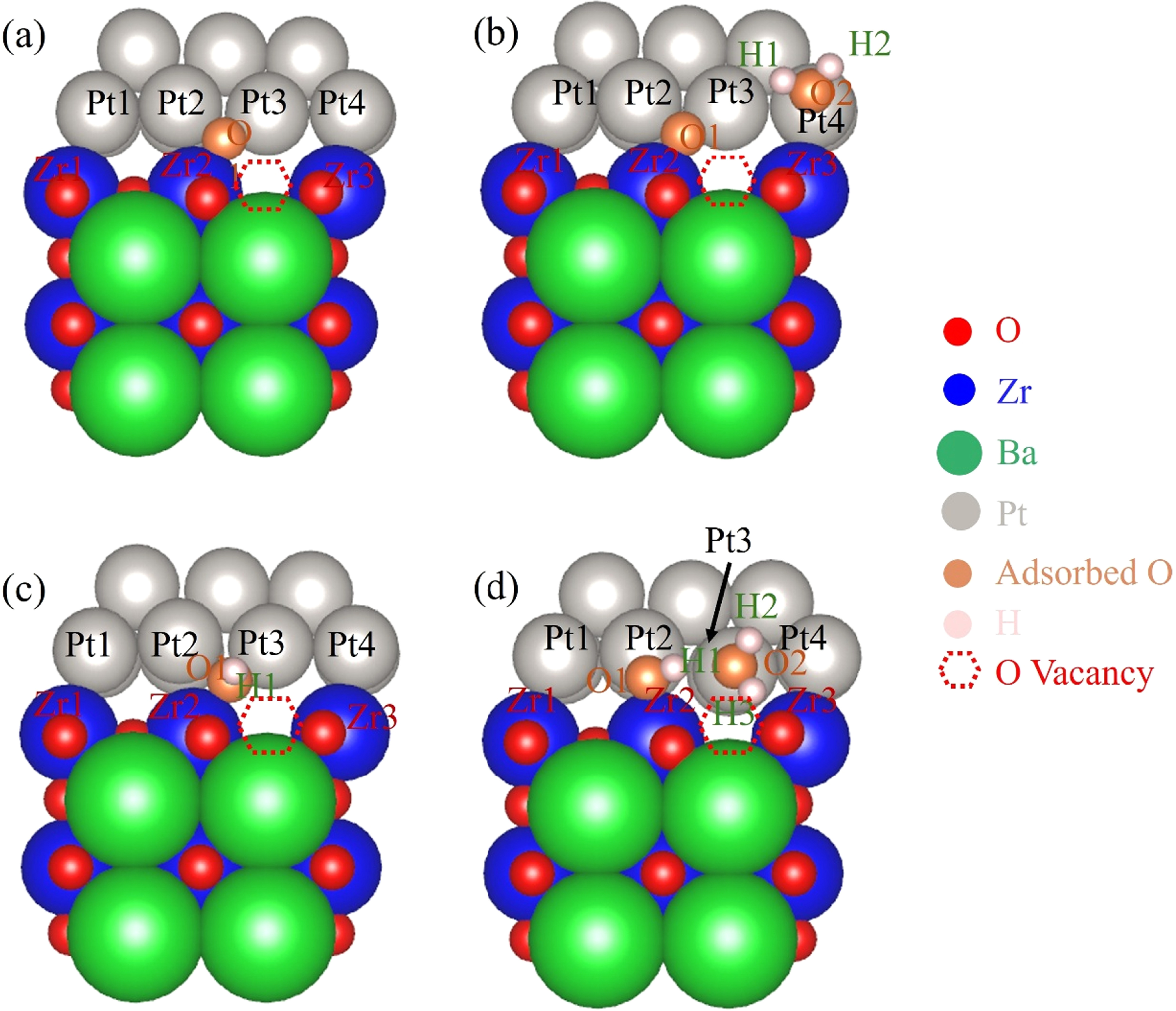 Mechanistic Insights into Oxygen Reduction Reaction on Metal Cathode ...