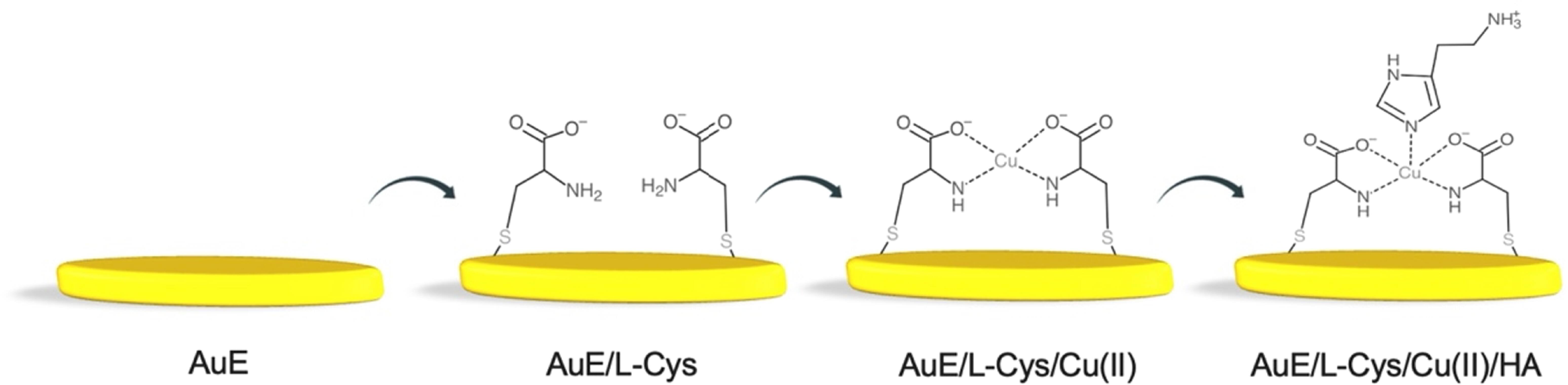 Chelation-Based Electrochemical Sensor for Histamine Detection - IOPscience