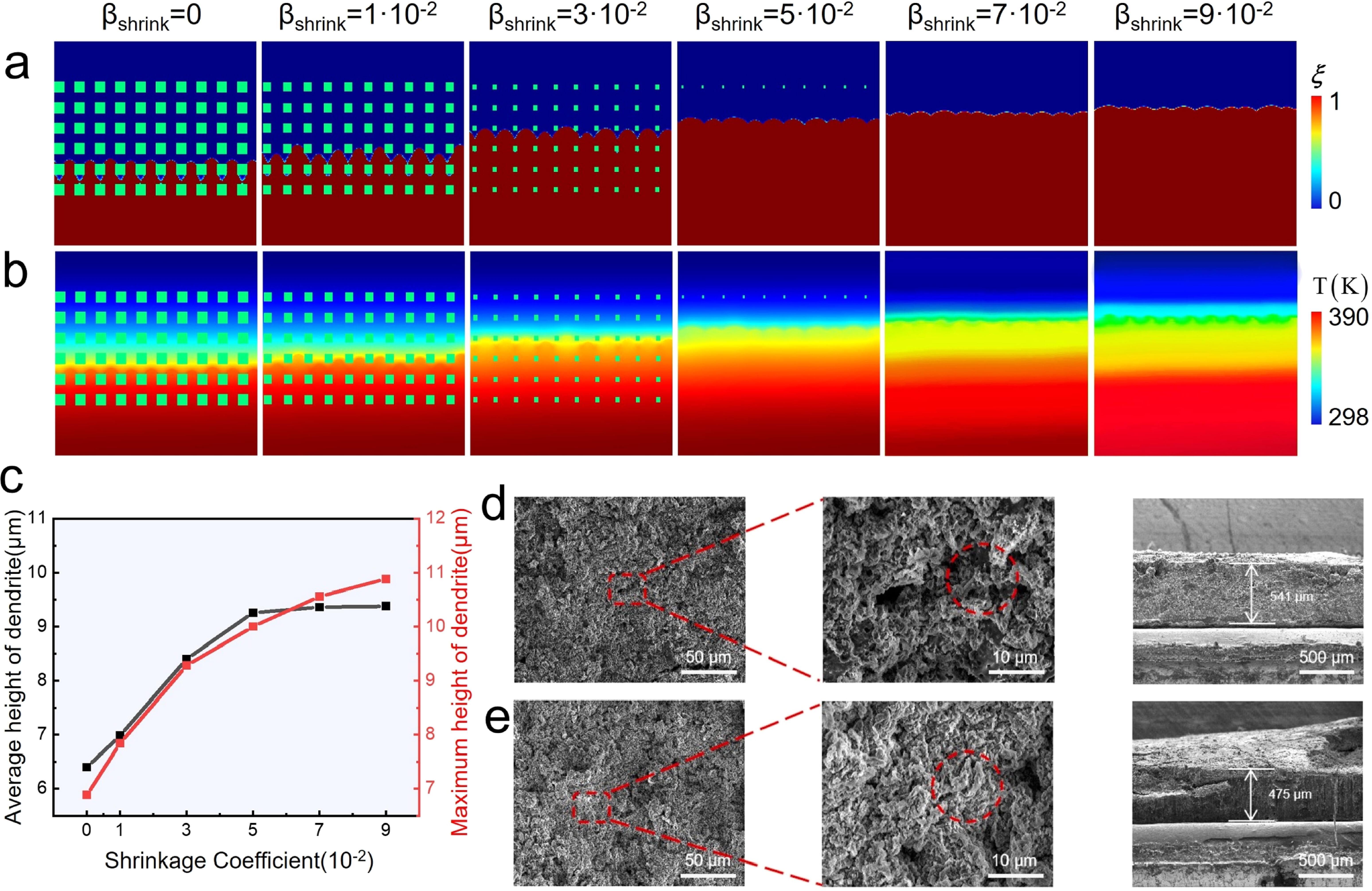 写真まとめ② Innovative Preparation of Cellulose-Mediated Silver Nanoparticles
