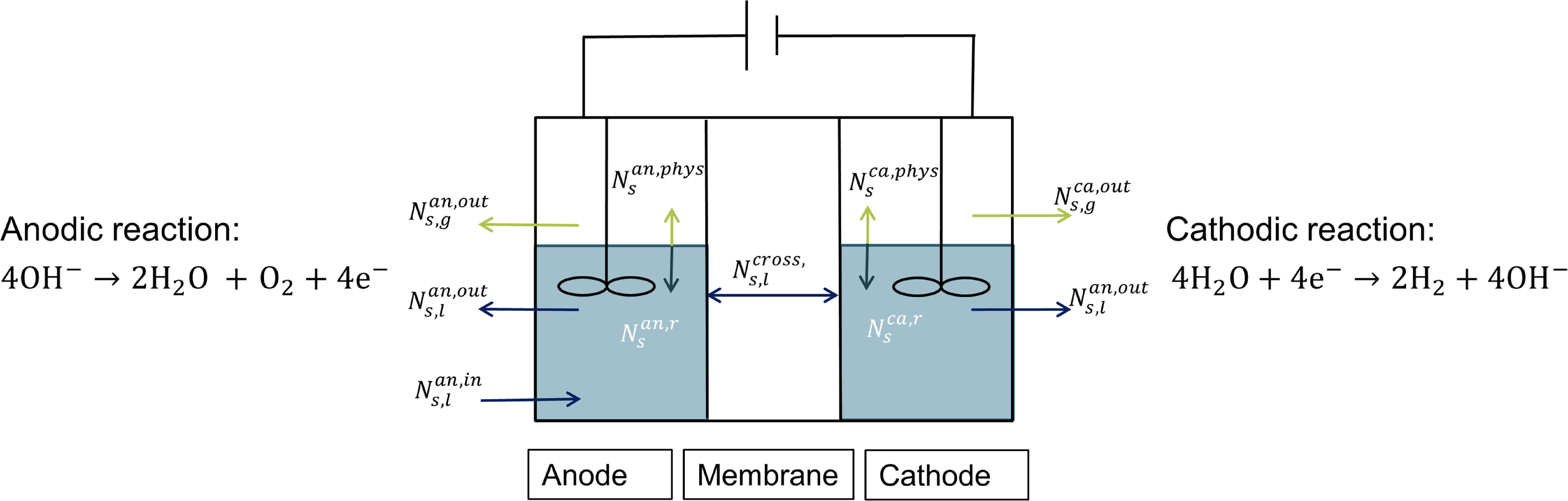 Multi-Criteria Evaluation of the Start-Up of Anion Exchange Membrane ...