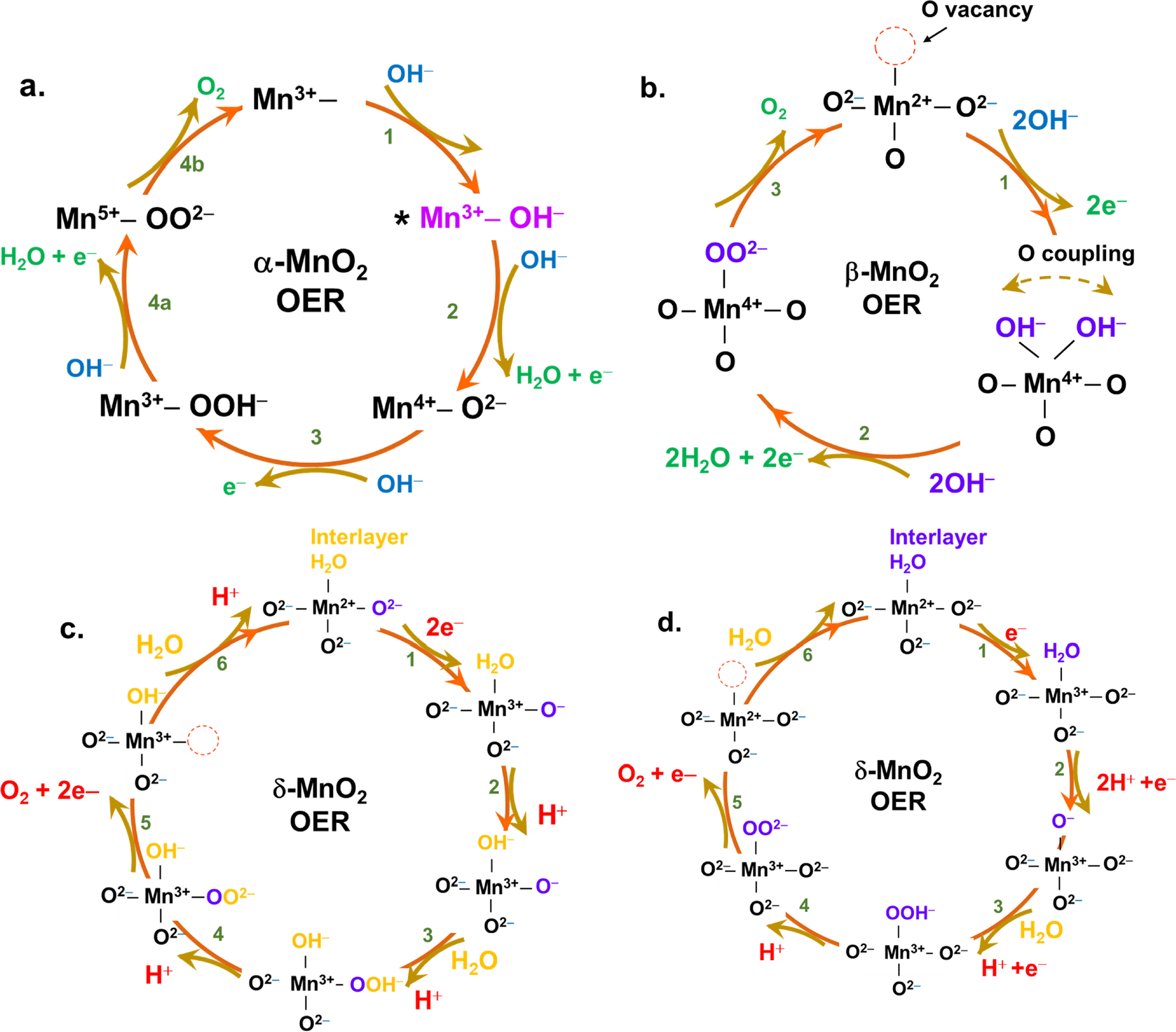 Concerted vs Non-Concerted PCET Reactions on α- β- and δ-MnO2 and Their ...