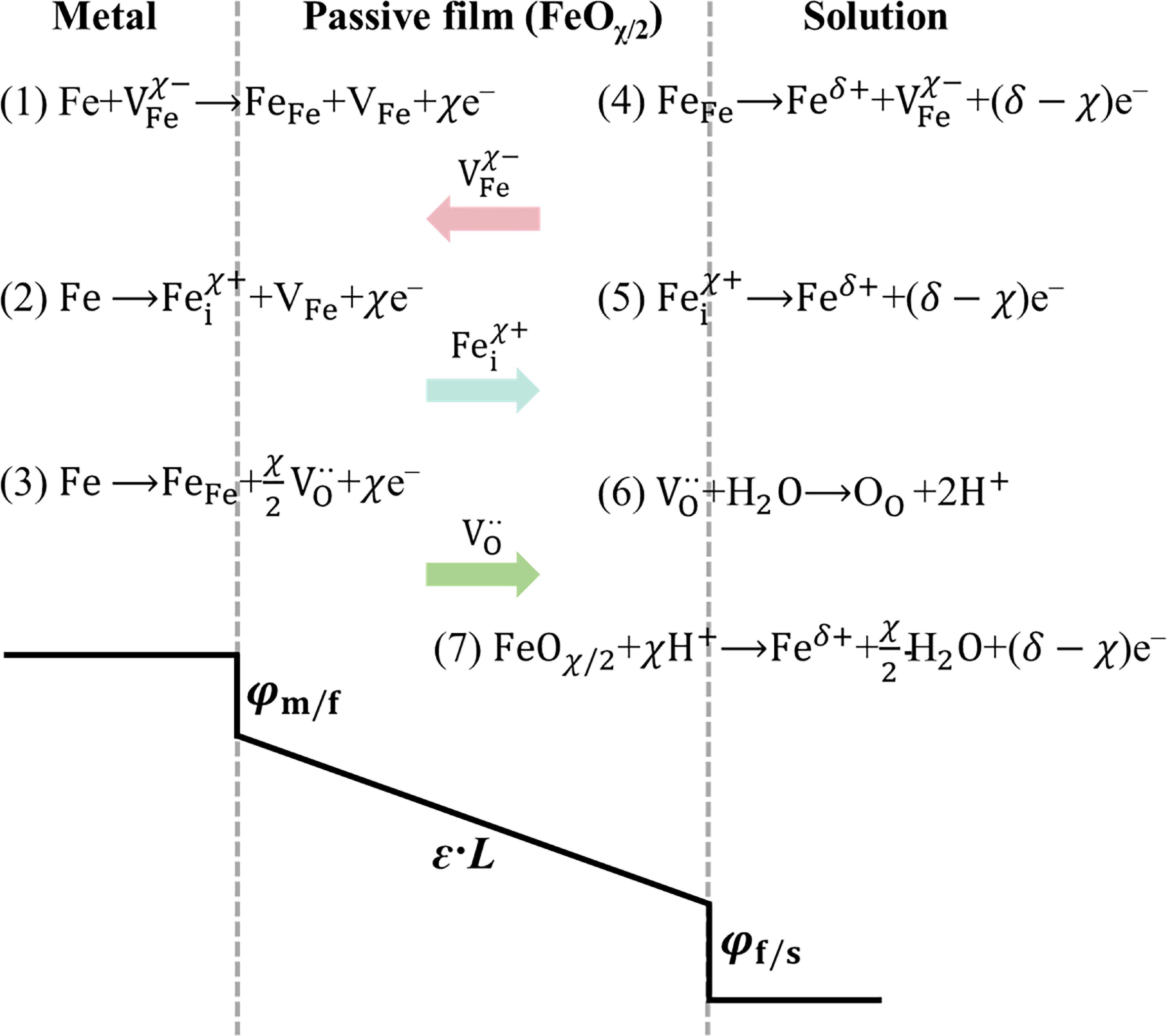 Revisiting the Transient Interfacial Potential Drop and Electric Field ...