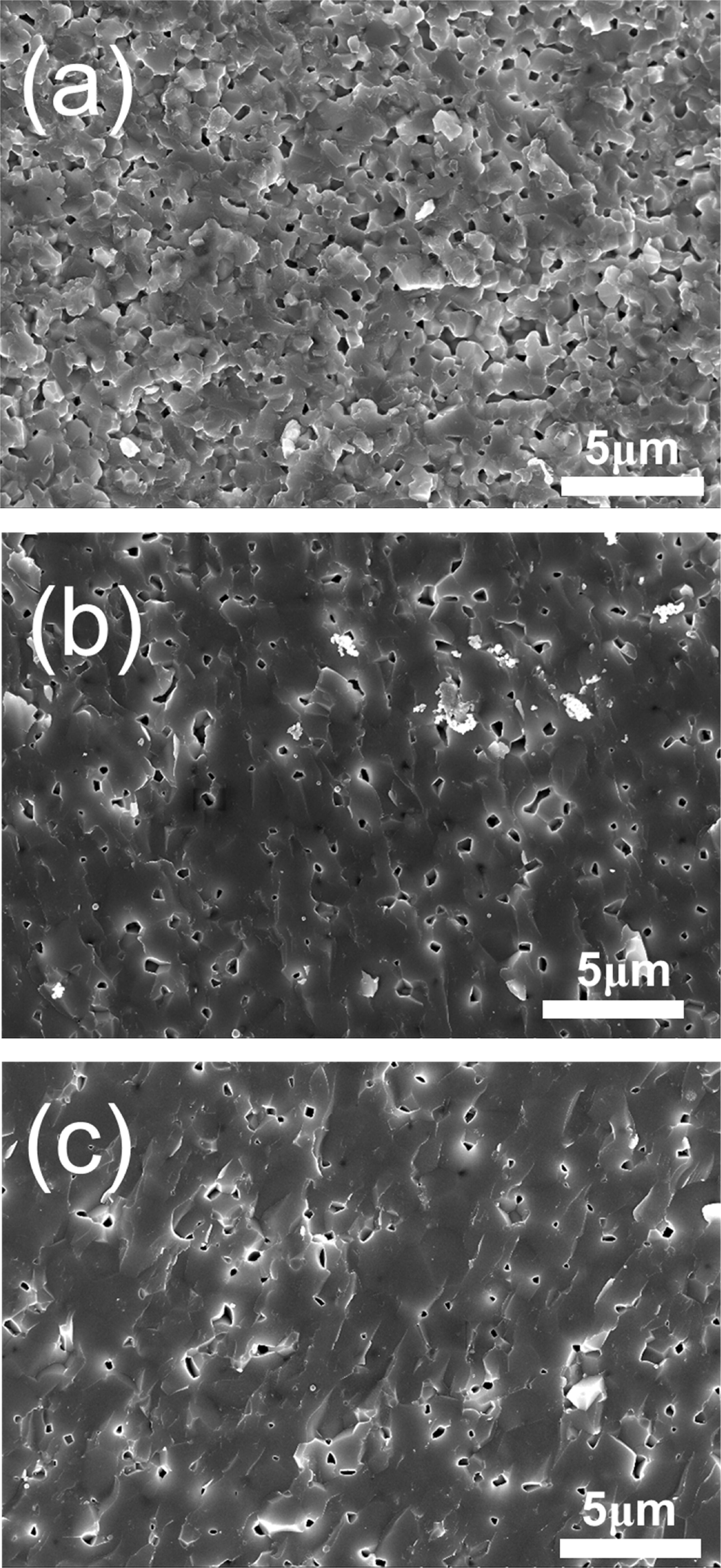Co-Sintering of Anode, Electrolyte, and (Ce0.9Gd0.1)O2−δ Barrier Layer ...