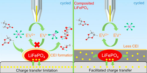 Refer to the following caption and surrounding text.