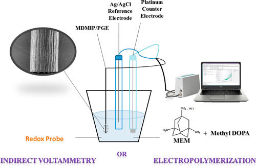Molecularly-Imprinted Polymer-Based Electrochemical Sensor for Indirect ...