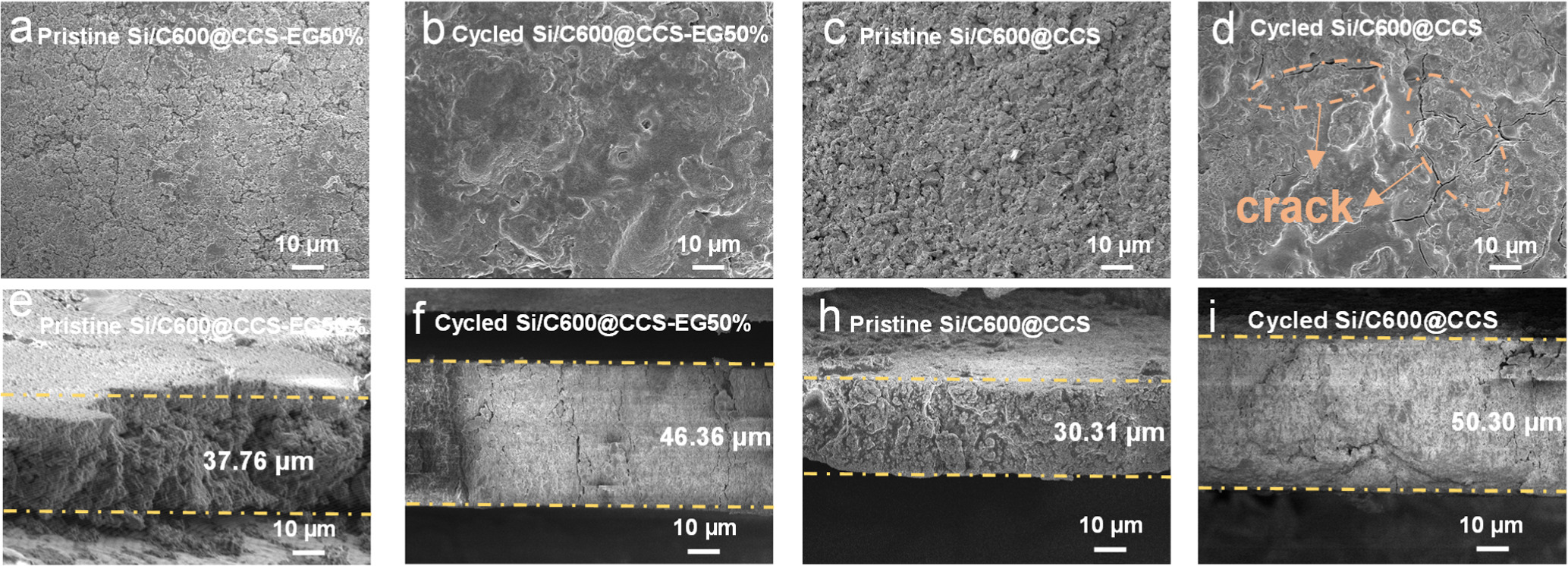 Three-Dimensional Cross-Linked Carboxymethyl Chitosan Binder
