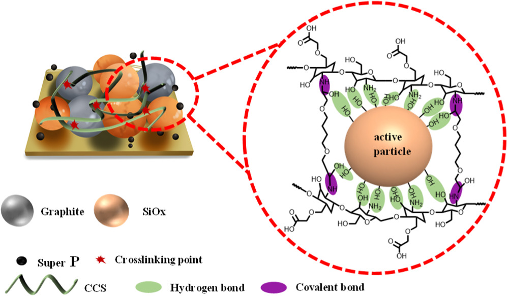 Three-Dimensional Cross-Linked Carboxymethyl Chitosan Binder