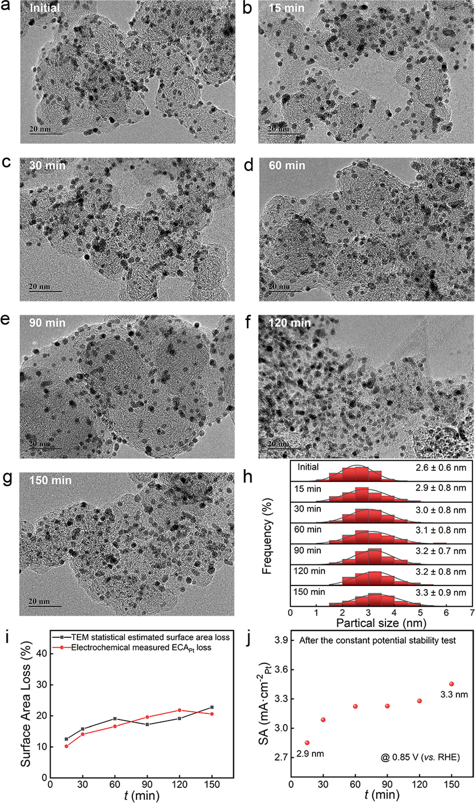 Self-Compensating Effects on the Stability of Pt/C Catalysts for ...
