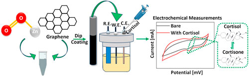 Electrochemical Non-Enzymatic Biosensing of Cortisol Using ZnO-Graphene ...