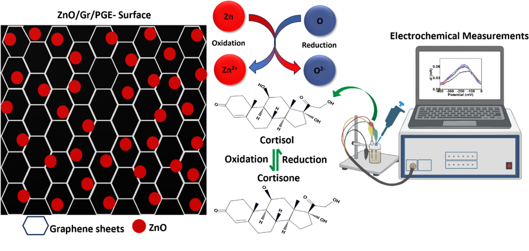 Electrochemical Non-Enzymatic Biosensing of Cortisol Using ZnO-Graphene ...