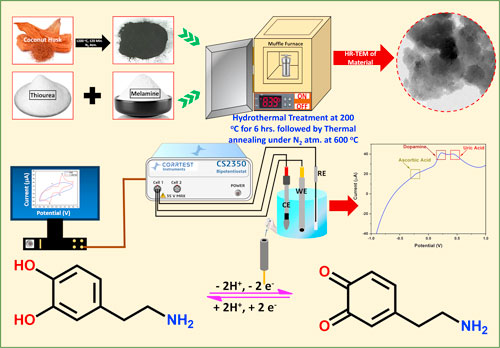 Fabrication of Carbon-Based Electrochemical Sensor Derived from Waste ...