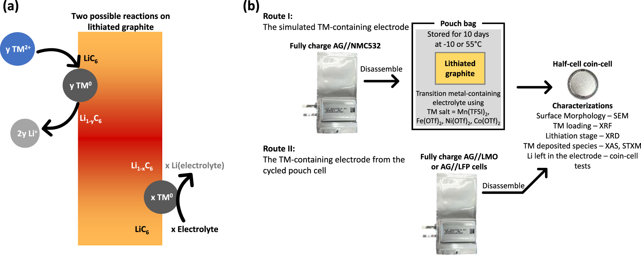 Different Impacts of Dissolved Transition Metals on the Graphite Anode ...