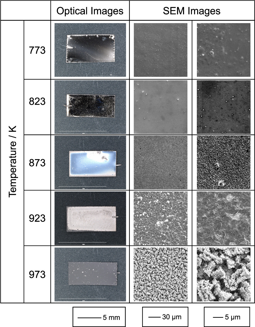 Relationship between Oxygen Content and Crystal Structure of W Films ...