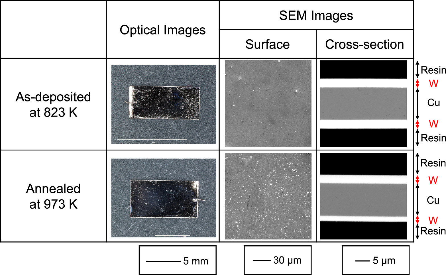 Relationship between Oxygen Content and Crystal Structure of W Films ...