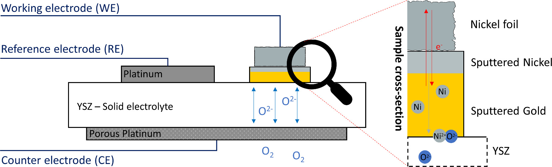 Diffused Metals High-Temperature Electrochemical Studies of Metal Diffusion through ...
