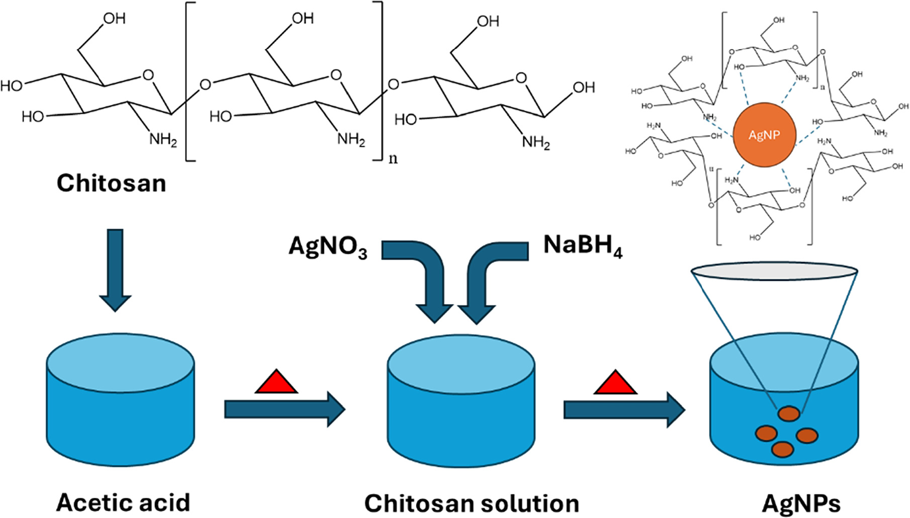 Chitosan-Capped Silver Nanoparticles for the Electrochemical Detection ...