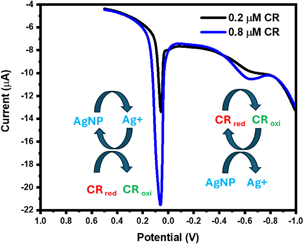 Chitosan-Capped Silver Nanoparticles for the Electrochemical Detection ...