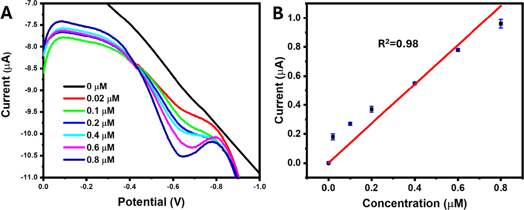 Chitosan-Capped Silver Nanoparticles for the Electrochemical Detection ...