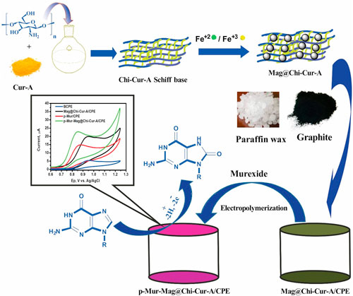 A Novel Electrochemical Sensor Employing Electropolymerized Murexide on ...