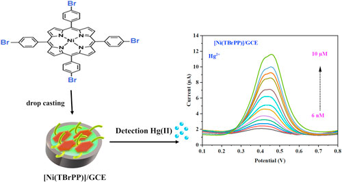 Highly Selective and Sensitive Electrochemical Sensor for Mercury(II ...