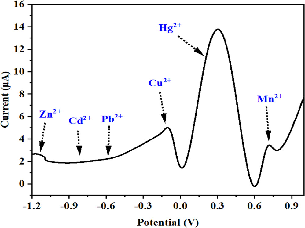 Highly Selective and Sensitive Electrochemical Sensor for Mercury(II ...