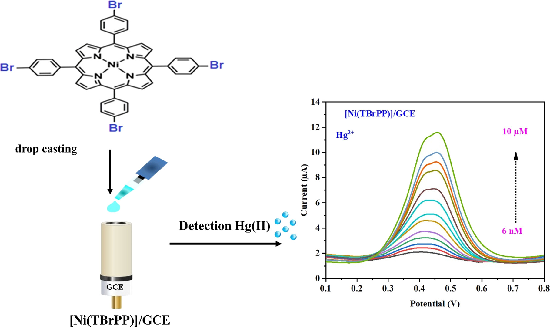 Highly Selective and Sensitive Electrochemical Sensor for Mercury(II ...