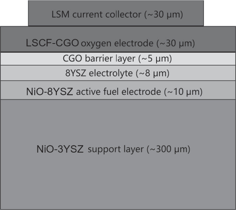 Degradation of Solid Oxide Electrolysis Cells Operating ...