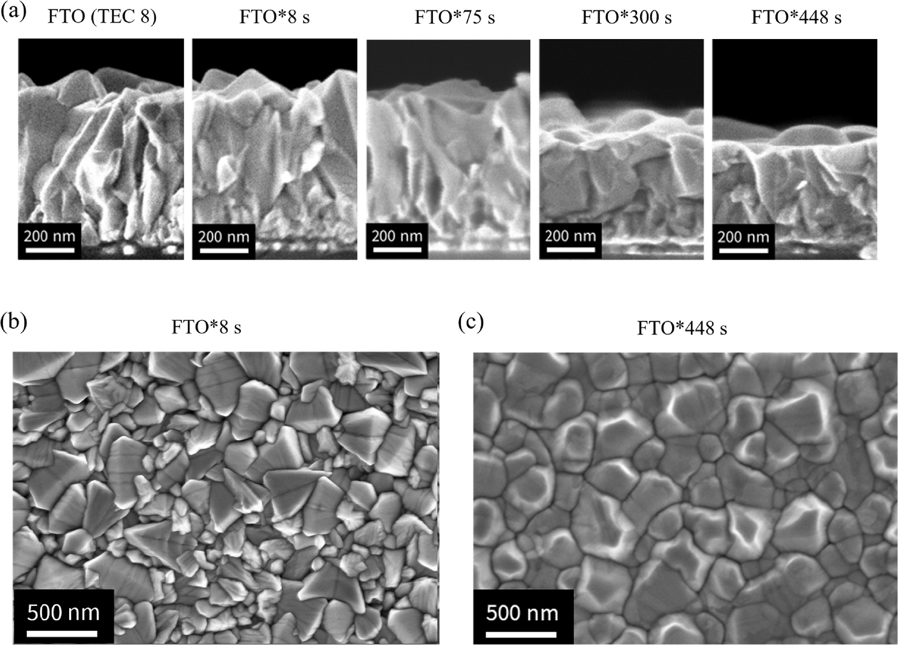 Nb:TiO2 Protection Layers for FTO-based Cathodes for CO2 Reduction ...