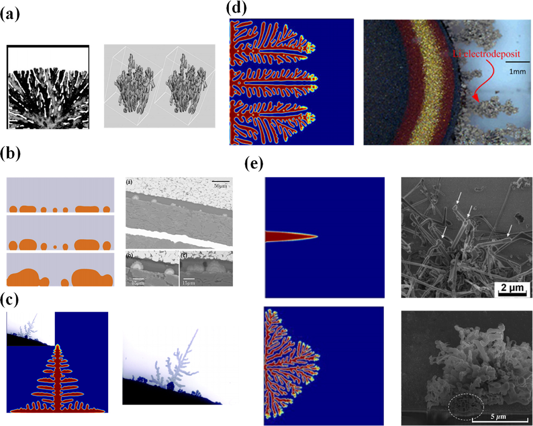 Phase Field Simulation for Dendrite Growth in Energy Storage Batteries ...