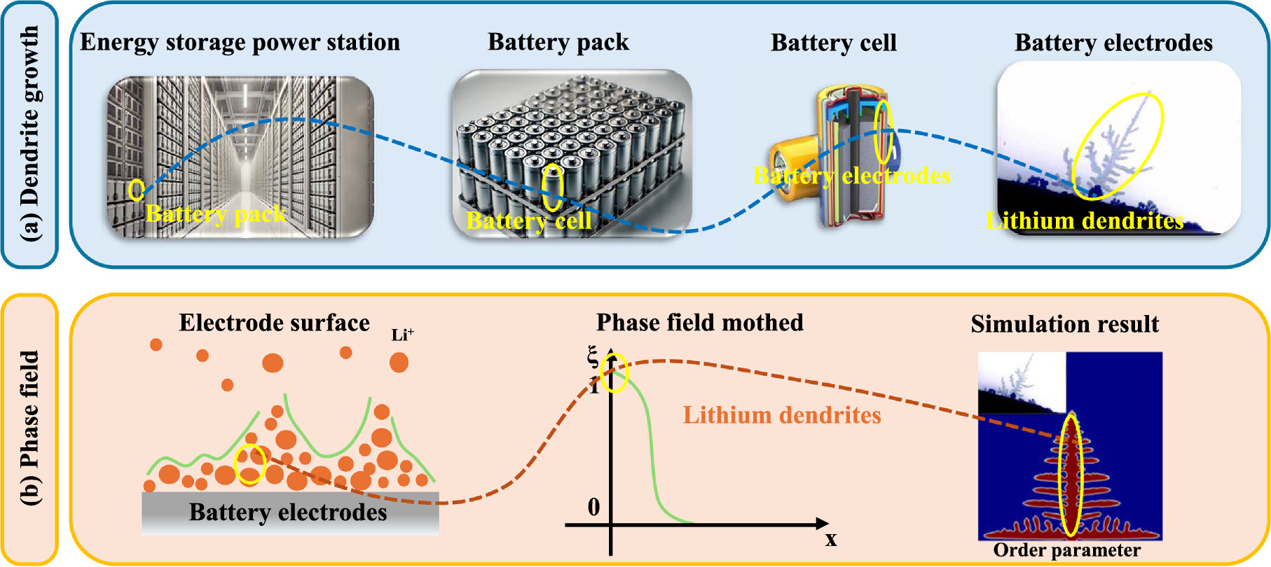 Phase Field Simulation for Dendrite Growth in Energy Storage Batteries ...