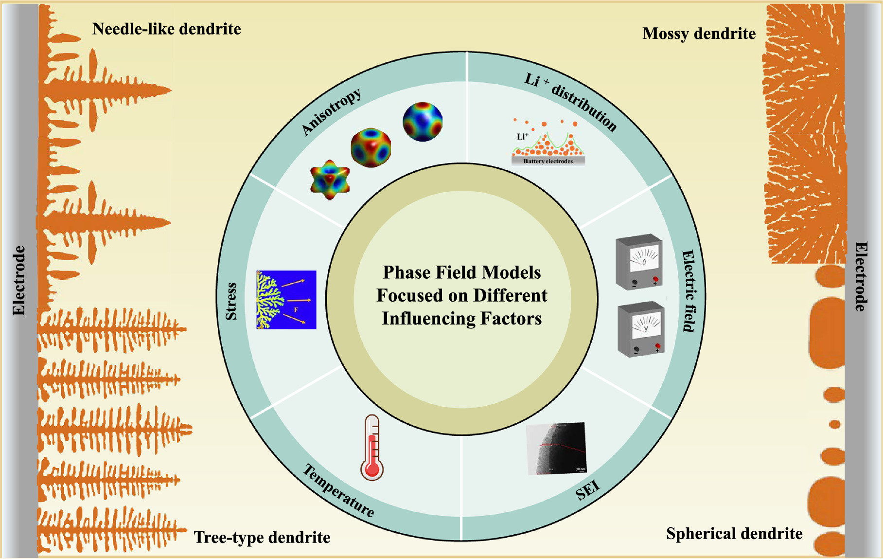 Phase Field Simulation for Dendrite Growth in Energy Storage Batteries ...