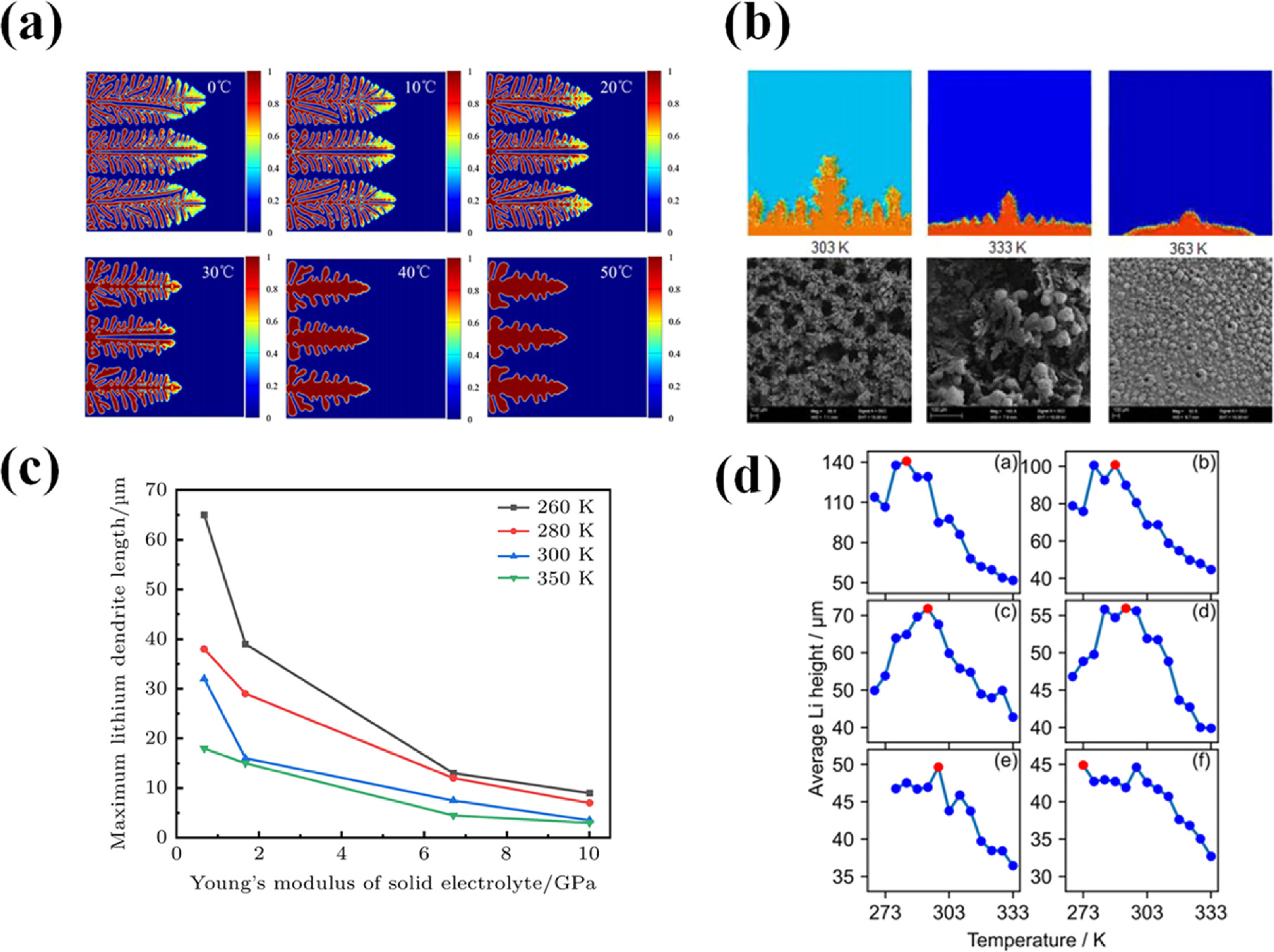 Phase Field Simulation for Dendrite Growth in Energy Storage